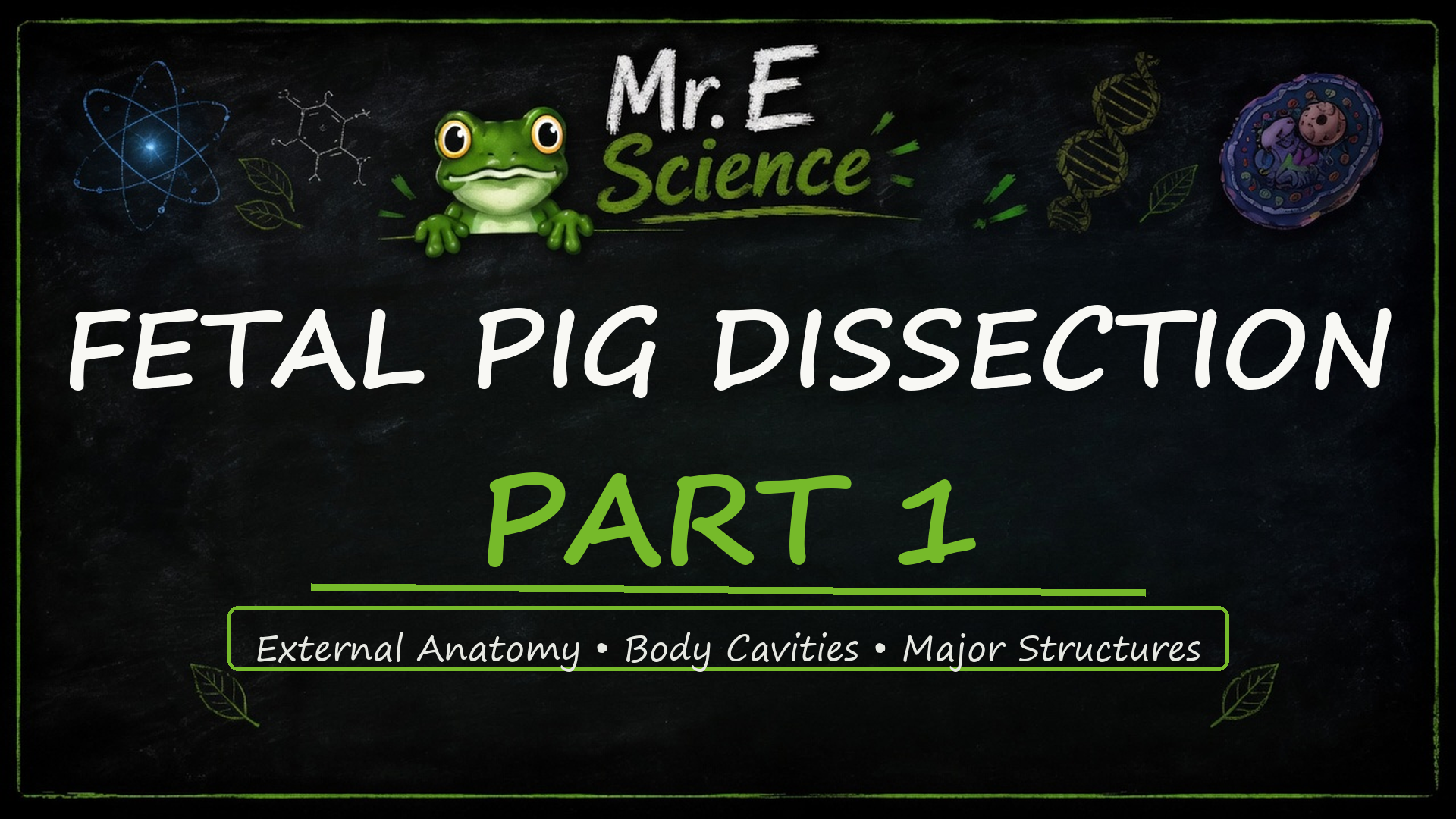 Fetal Pig Dissection — Part 1
